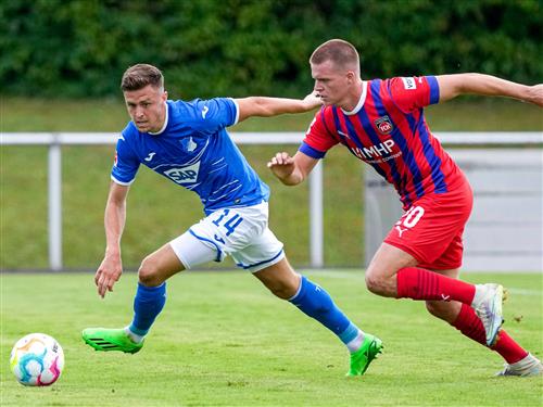 海登海默 vs TSG 霍芬海姆