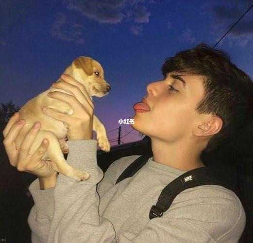 6686体育app海外作者仅存姿态