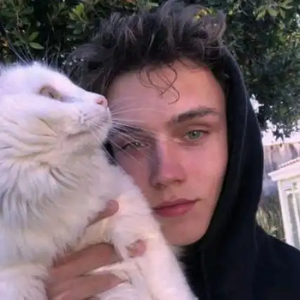 6686体育app金牌作者Doris