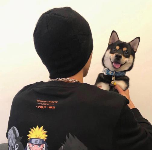 6686体育app高级作者Zane