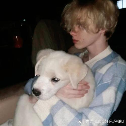 6686体育app首席作者Sage