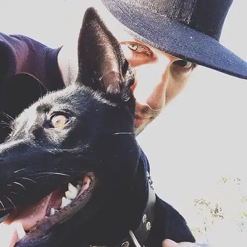 6686体育app初级作者Noah