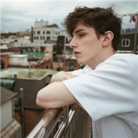 6686体育app中级作者专属的成见