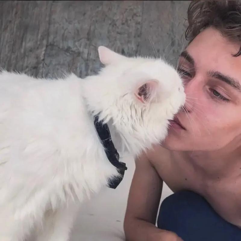 6686体育app首席作者Theo