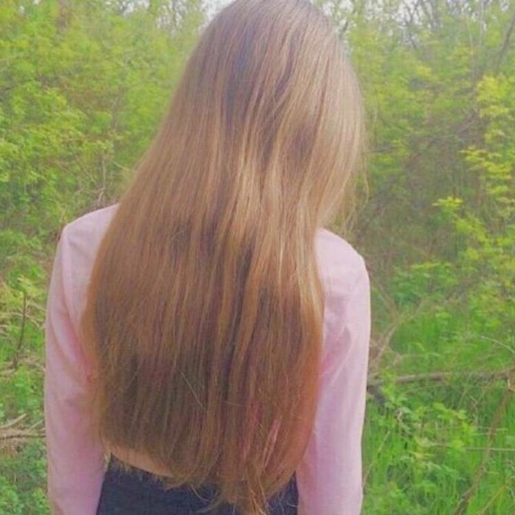 6686体育app钻石作者Freddie