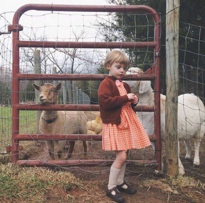 6686体育app铜牌作者Aubrey