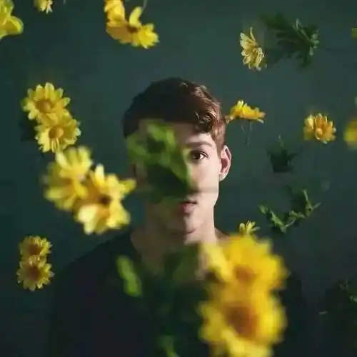 6686体育app中级作者Daphne