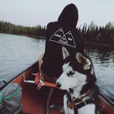 6686体育app铁牌作者Wolfgang